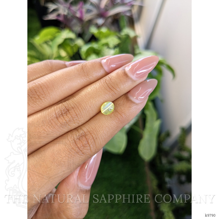 1.75 Ct. Cabochon Chrysoberyl from Ceylon (Sri Lanka)