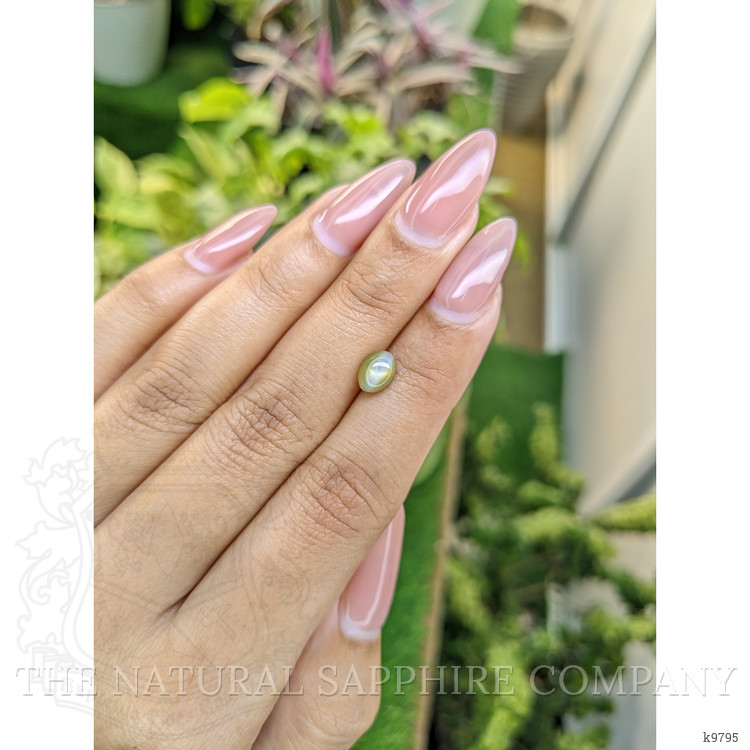 1.49 Ct. Cabochon Chrysoberyl from Ceylon (Sri Lanka)