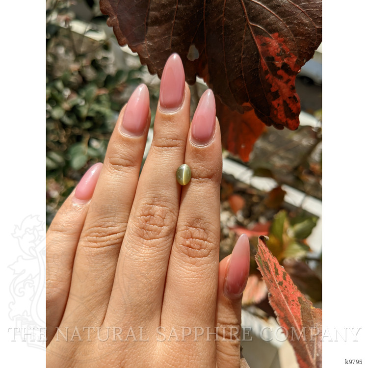 1.49 Ct. Cabochon Chrysoberyl from Ceylon (Sri Lanka)