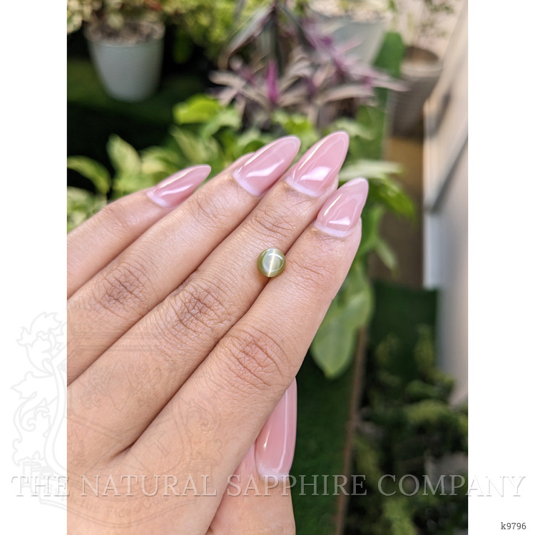 1.52 Ct. Cabochon Chrysoberyl from Ceylon (Sri Lanka)