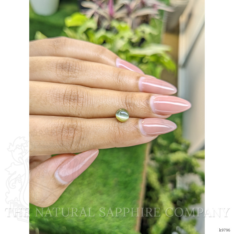 1.52 Ct. Cabochon Chrysoberyl from Ceylon (Sri Lanka)