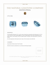 10.51 Ct. Aquamarine from Ceylon (Sri Lanka) Appraisal