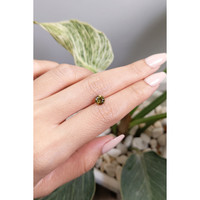 1.01 Ct. Andradite Garnet from Madagascar Life Style