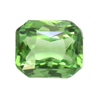 1.26 Ct. Tsavorite Garnet from Tanzania Video