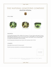 Jewelry Appraisal