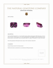 1.12 Ct. Garnet from Ceylon (Sri Lanka) Appraisal