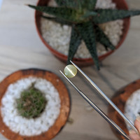 1.79 Ct. Cabochon Chrysoberyl from Madagascar Life Style