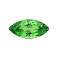 2.71 Ct. Tsavorite Garnet from Tanzania Video