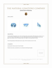 1.45 Ct. Aquamarine from Brazil Appraisal
