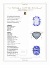 Jewelry 3 D Scan Report