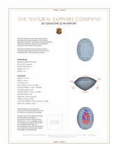 Jewelry 3 D Scan Report