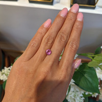 1.80 Ct. Reddish Pink Sapphire from Ceylon (Sri Lanka) Life Style