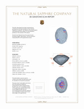Jewelry 3 D Scan Report