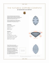 Jewelry 3 D Scan Report