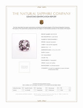 Jewelry Scan Report