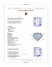 Jewelry 3 D Scan Report