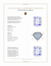 Jewelry 3 D Scan Report