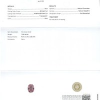 Jewelry Scan Report