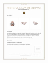 Jewelry Appraisal