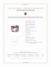 Jewelry Scan Report