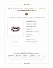 Jewelry Scan Report