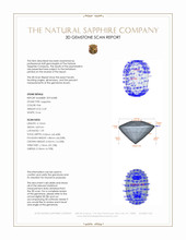 Jewelry 3 D Scan Report