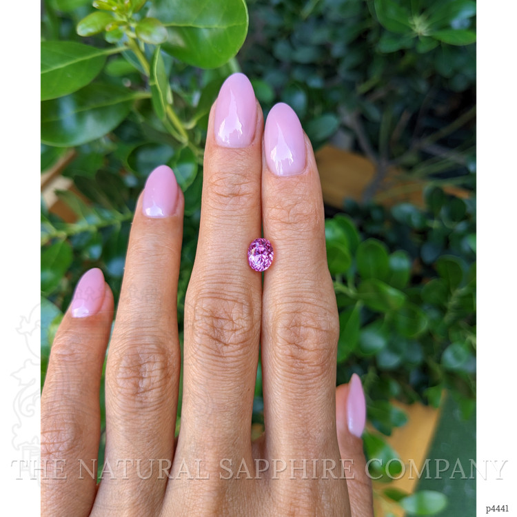 2.02 Ct. Pink Sapphire from Ceylon (Sri Lanka)