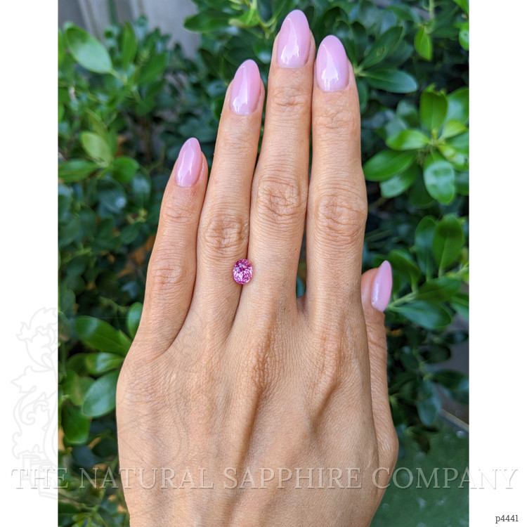 2.02 Ct. Pink Sapphire from Ceylon (Sri Lanka)