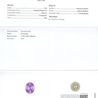 Jewelry Scan Report