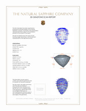 Jewelry 3 D Scan Report