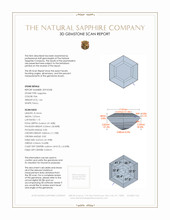 Jewelry 3 D Scan Report