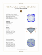 Jewelry 3 D Scan Report