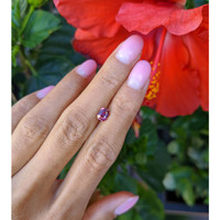 1.07 Ct. Reddish Pink Sapphire from Ceylon (Sri Lanka) Life Style