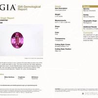 Jewelry Scan Report
