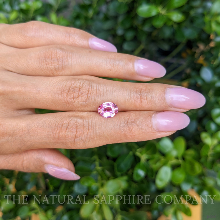 2.03 Ct. Pink Sapphire from Ceylon (Sri Lanka)