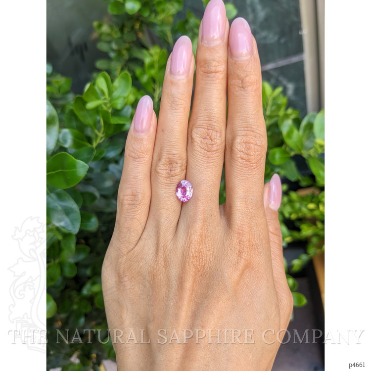 2.03 Ct. Pink Sapphire from Ceylon (Sri Lanka)
