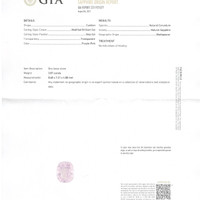 Jewelry Scan Report