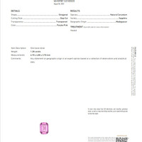 Jewelry Scan Report