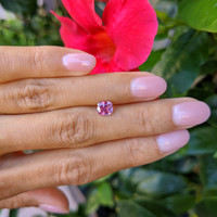 1.06 Ct. Pink Sapphire from Ceylon (Sri Lanka) Life Style