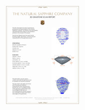 Jewelry 3 D Scan Report