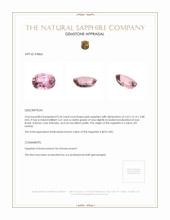 Jewelry Appraisal