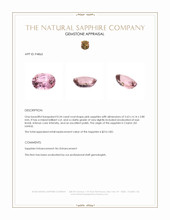 Jewelry Appraisal