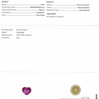 Jewelry Scan Report