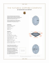 Jewelry 3 D Scan Report
