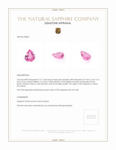 Jewelry Appraisal