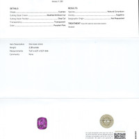 Jewelry Scan Report
