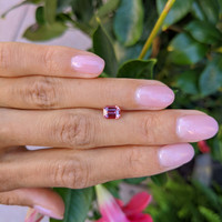1.11 Ct. Purplish Pink Sapphire from Ceylon (Sri Lanka) Life Style