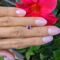 1.17 Ct. Pink Sapphire from Ceylon (Sri Lanka) Life Style