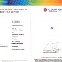 Jewelry Scan Report