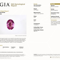 Jewelry Scan Report